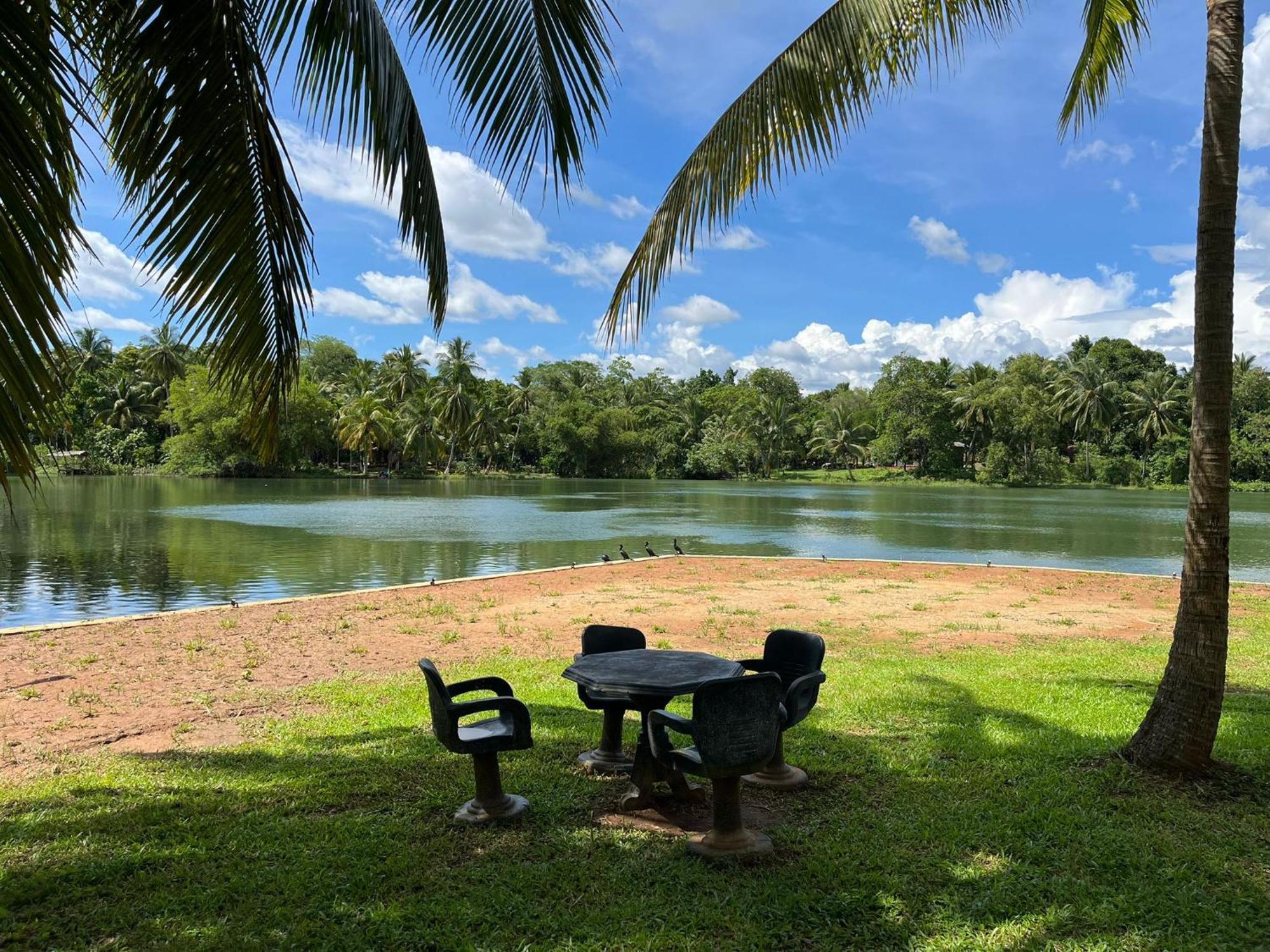 Yonan River Face Safari Resort اوداوالاوي المظهر الخارجي الصورة