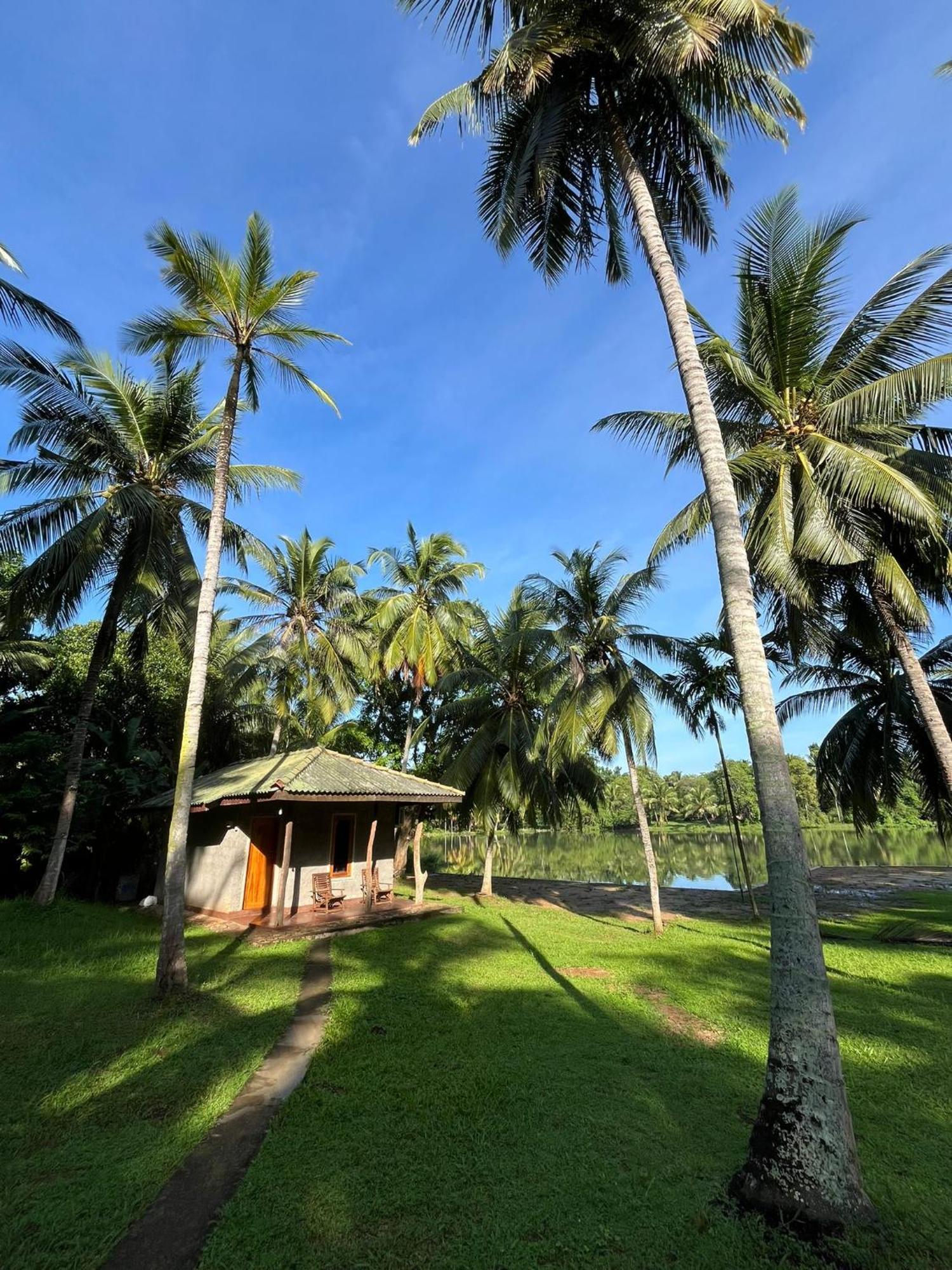 Yonan River Face Safari Resort اوداوالاوي المظهر الخارجي الصورة
